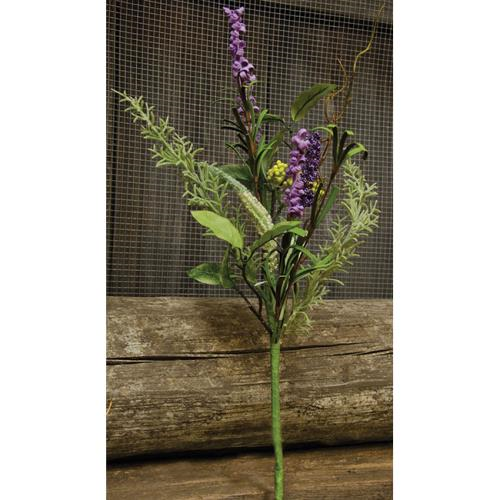 Cwi Wild Lavender Pick Fisb50363