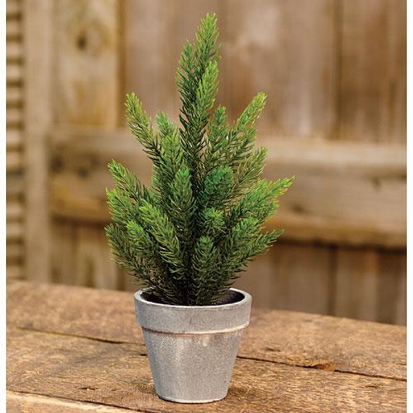 Cwi Tahoe Pine Tree With Gray Pot 12 Fisb62988