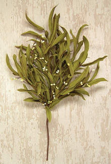 Cwi Herb Bush Fisw618R