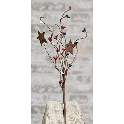 Cwi Pip Pick With Stars Country Mix 12 Ft606Cm