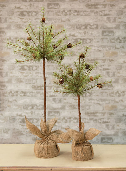 Cwi Cypress Topiary 30 Fxp22324
