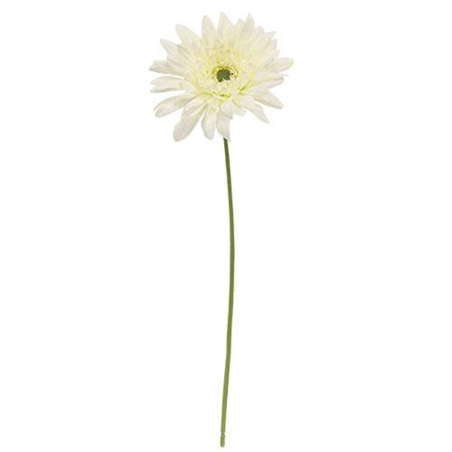 Cwi Gifts F18122 Blooming Daisy Stem White