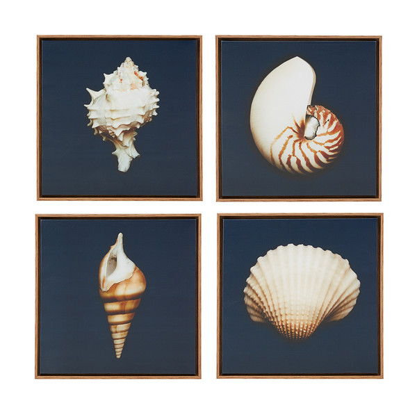 Madison Park Ocean Seashells Framed Canvas 4 Piece Set Mp95C 0062 By Olliix