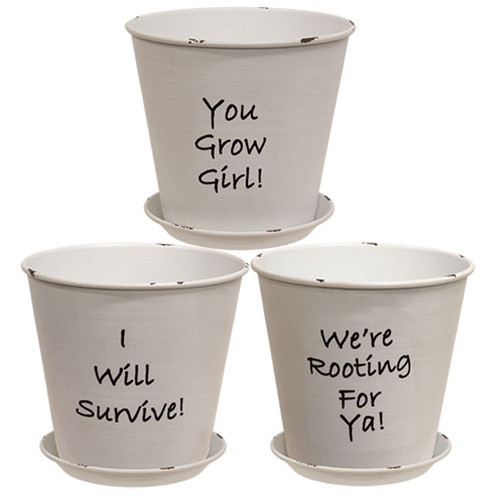 2 Set Positivity Distressed White Metal Planter With Tray 3 Assorted G23Dn031 By Cwi Gifts