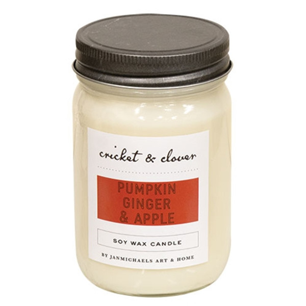 Pumpkin Ginger Apple Mason Jar Candle 12 Oz Gjc150001 By Cwi Gifts