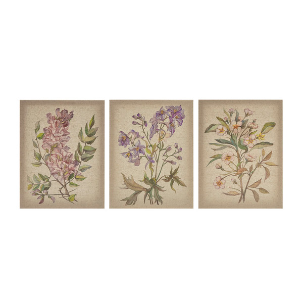 Madison Park Linen Botanicals Printed Linen Canvas Set Of 3 Mp95C 0037 By Olliix