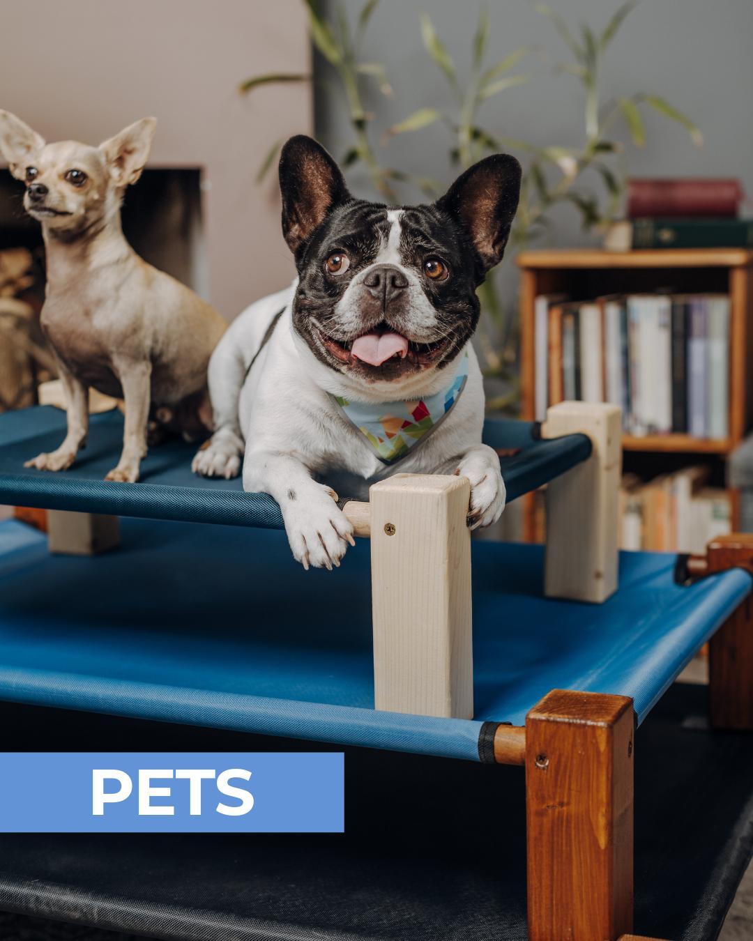 Pets