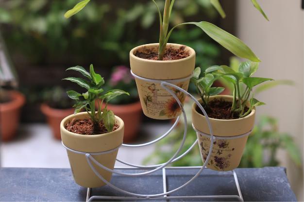 OUTDOOR & GARDEN