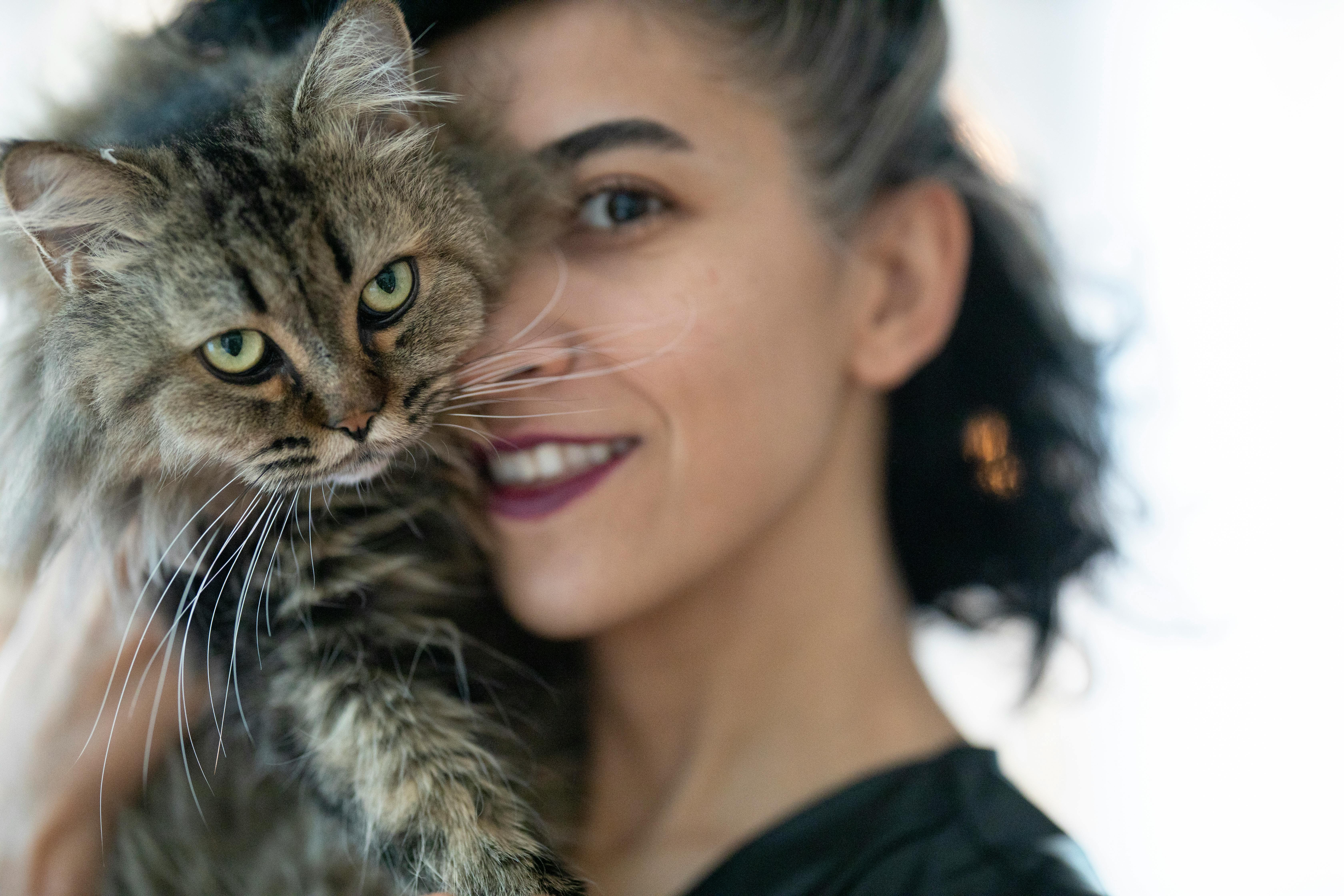 The Mirror Effect: Do Cats Mimic Their Owners' Personalities?
