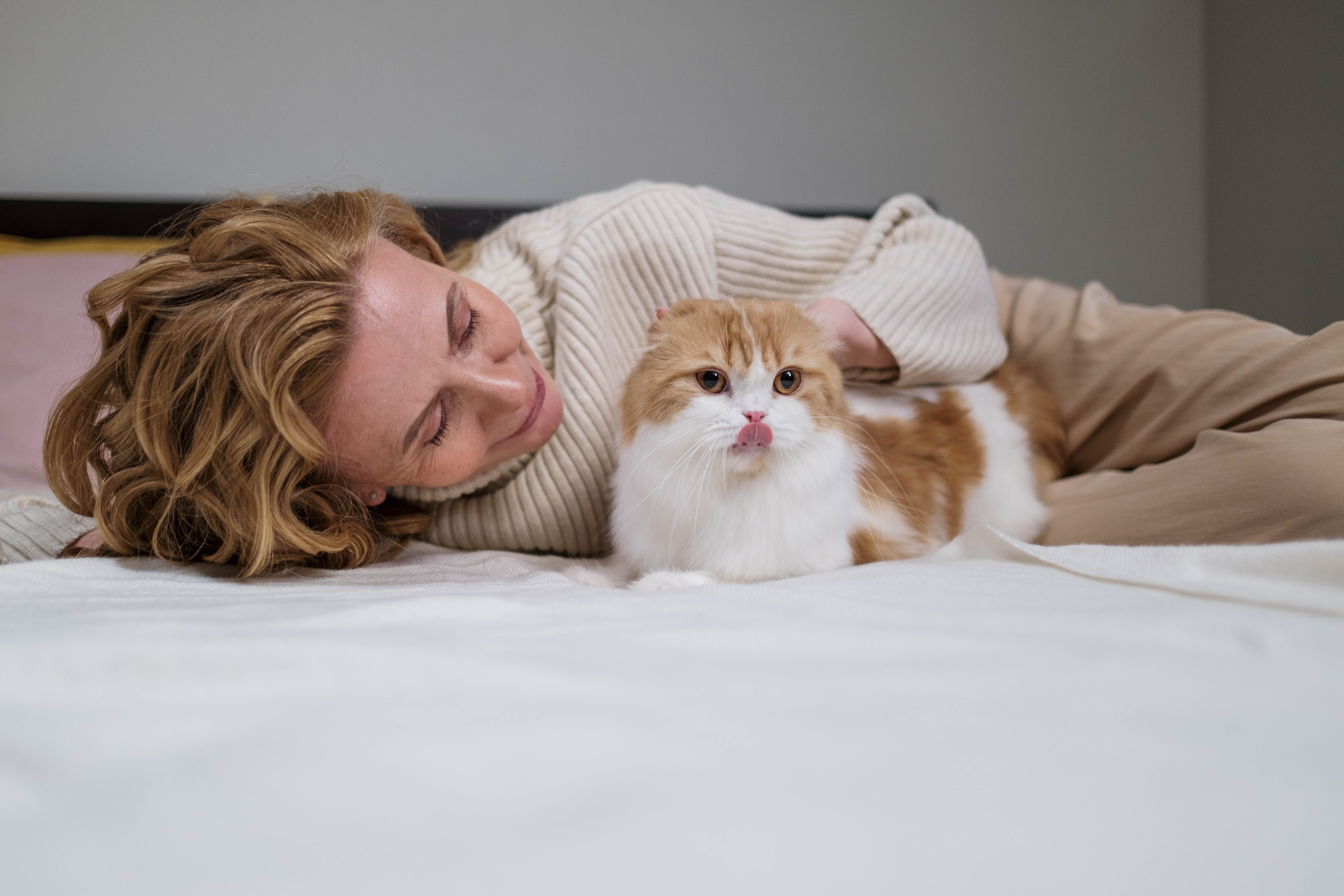 The Feline-Human Bond: Unveiling the Science of Love and Connection