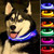 2 PCS Set Nylon LED Dog Collar