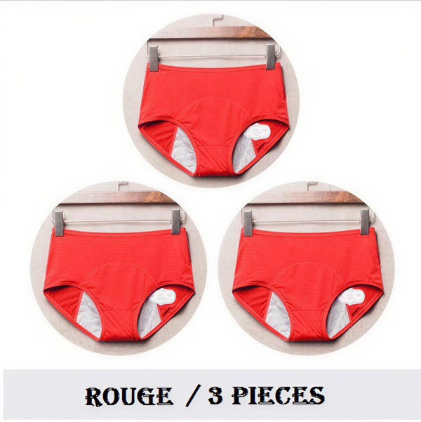 Culottes Menstruelles (lot de 3) zaxx