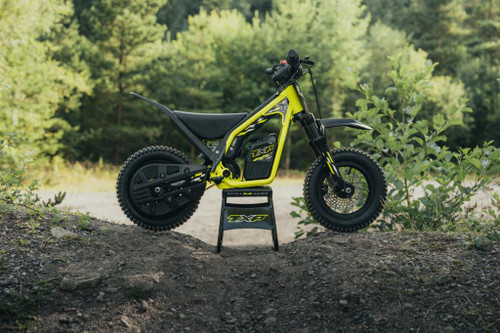 TRIUMPH TXP-12 (Off Road) for sale at Webbs