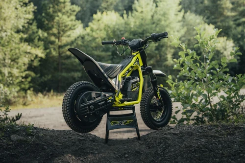 Triumph TXP-12 (off road) for sale at Webbs