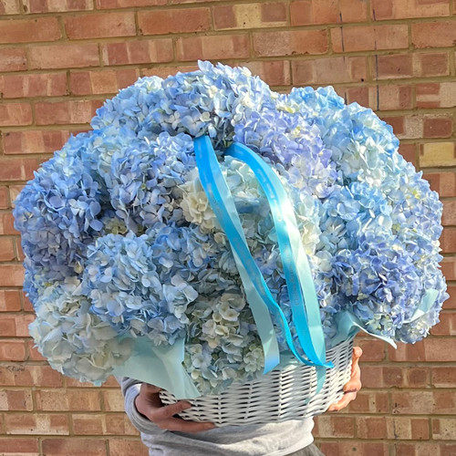  Blue cloud basket
