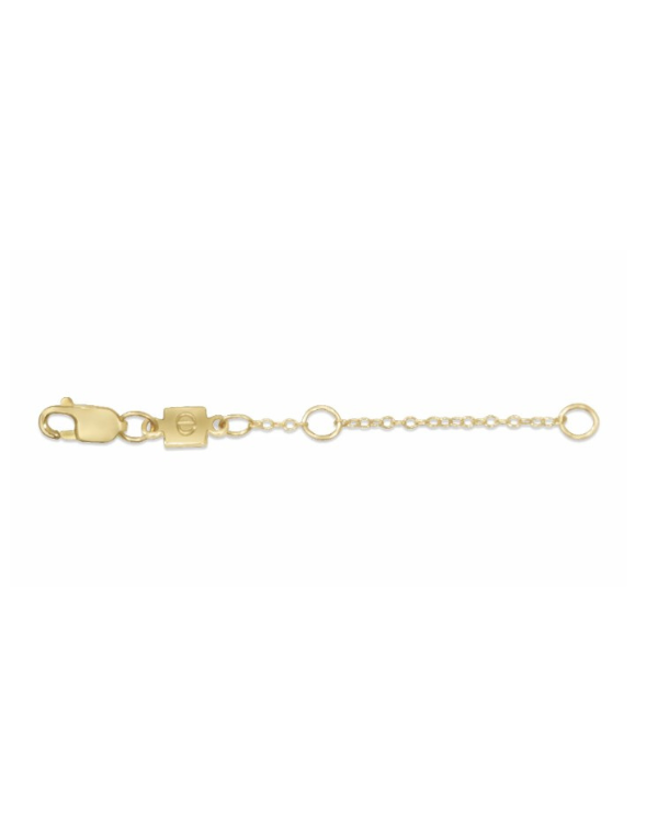 eNewton 2"  Gold Necklace Extender
