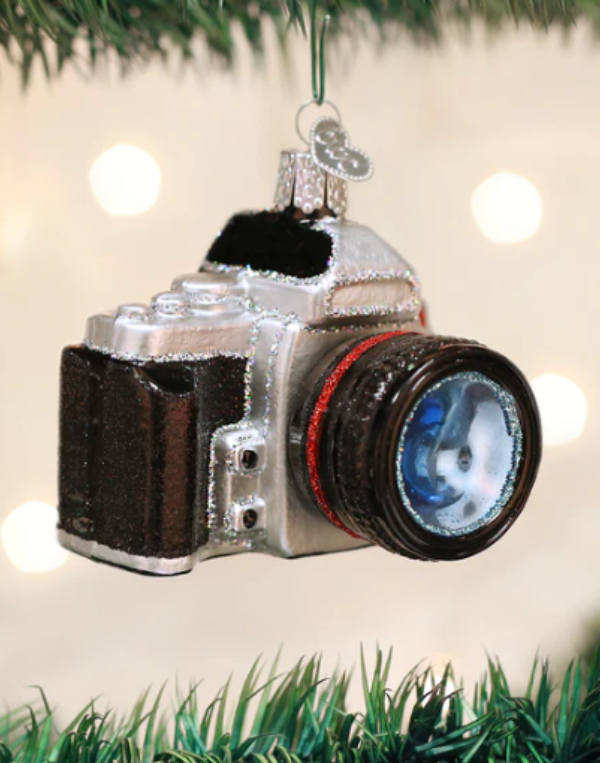 Camera Ornament