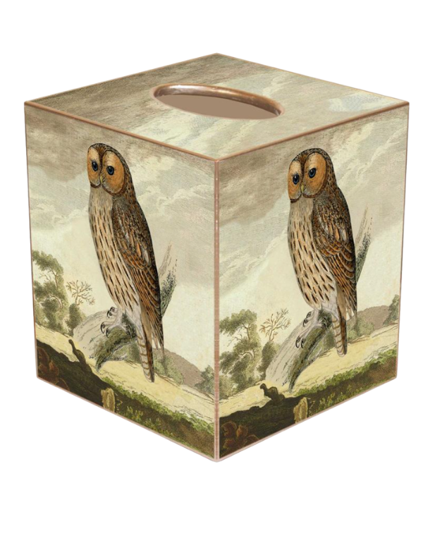 Tawny Owl Tissue Box Cover