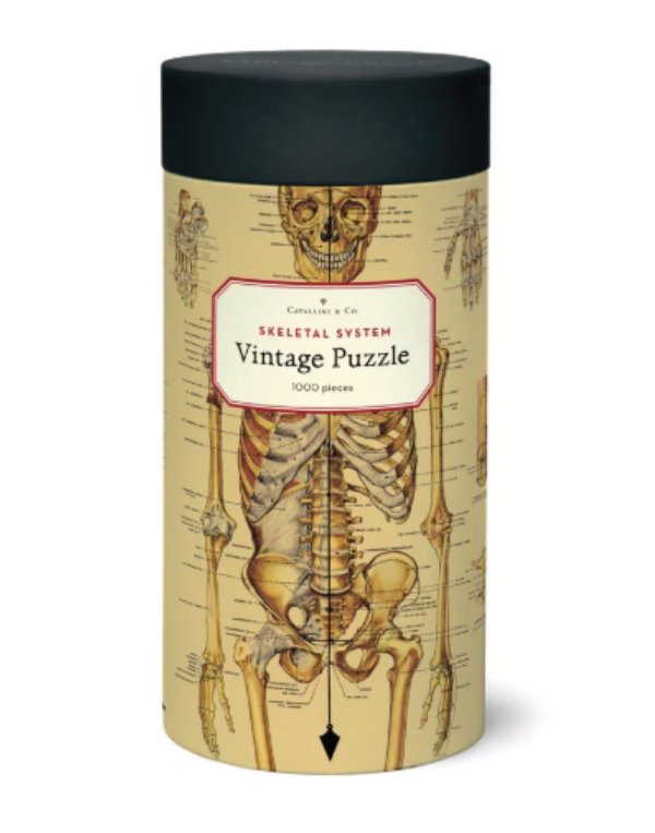Puzzle-Skeletal System