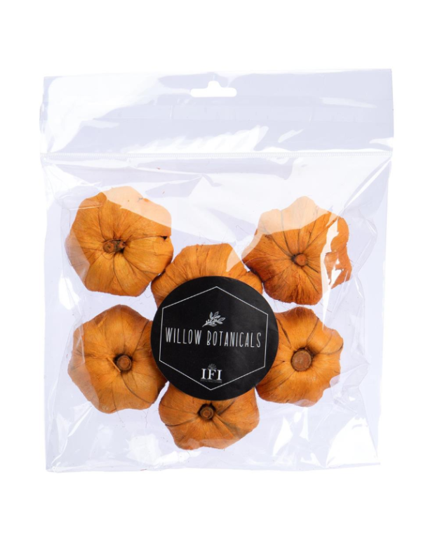 Pana Orange Pumpkins