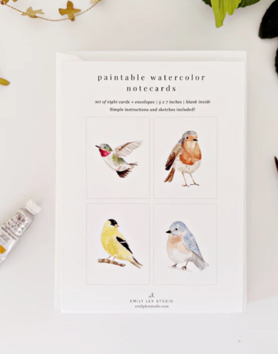 Backyard Birds Paintable Notecards Backyard Birds Paintable Notecards