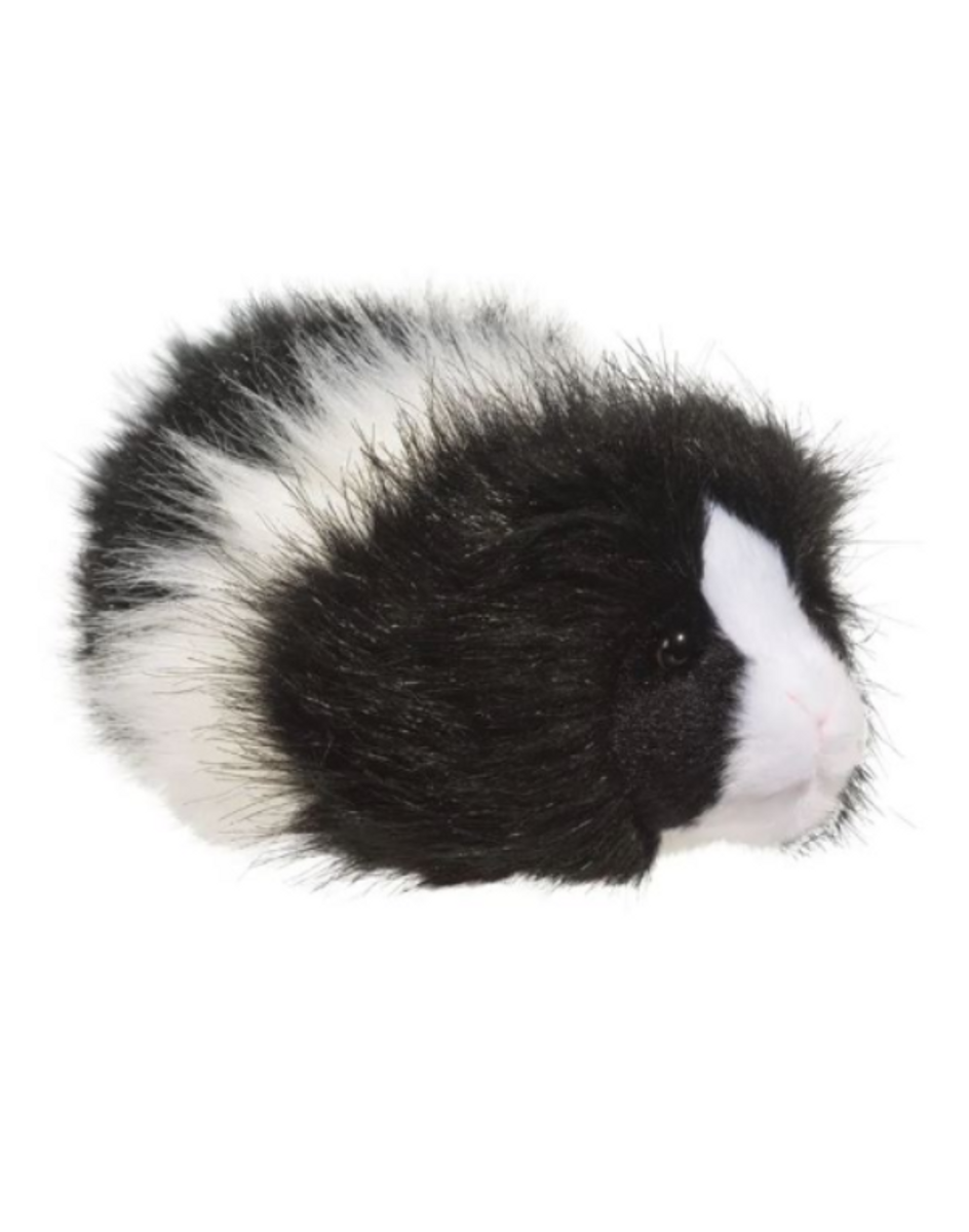 Angora Guinea Pig Angora Guinea Pig