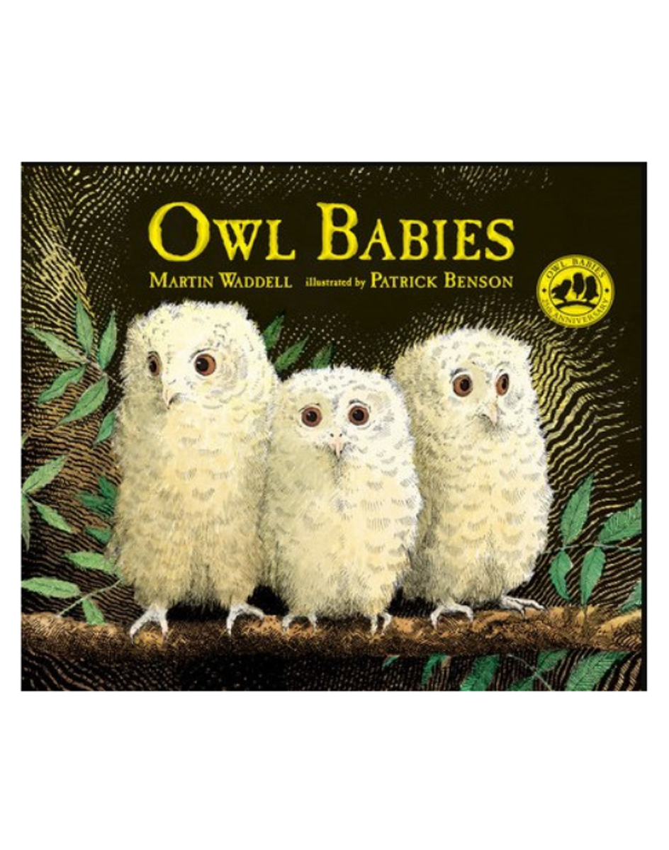 Owl Babies Owl Babies