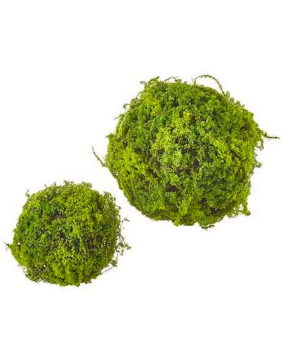 Moss Balls Moss Balls