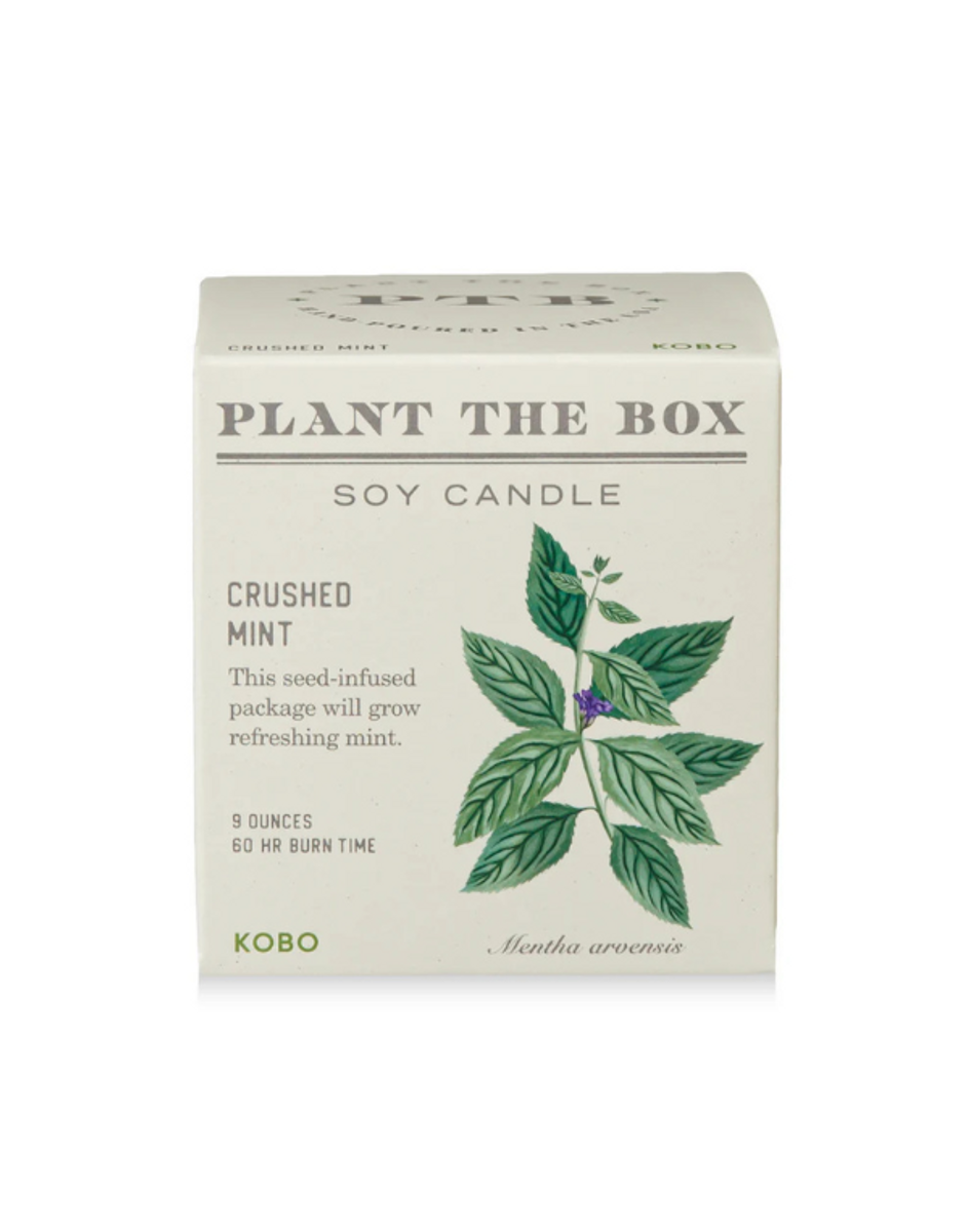 Plant the Box Crushed Mint Candle Plant the Box Crushed Mint Candle