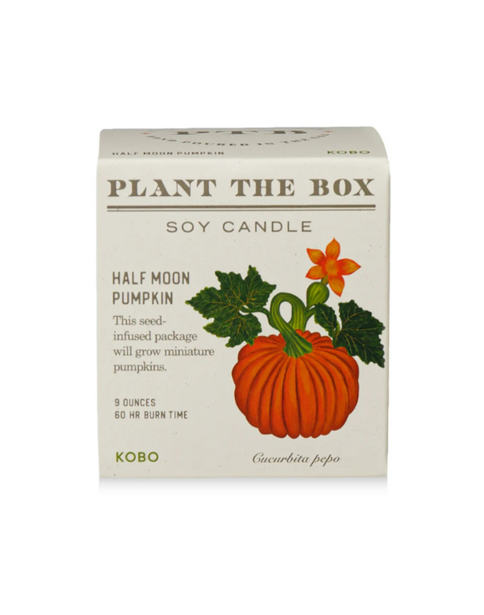 Plant the Box Half Moon Pumpkin Candle Plant the Box Half Moon Pumpkin Candle