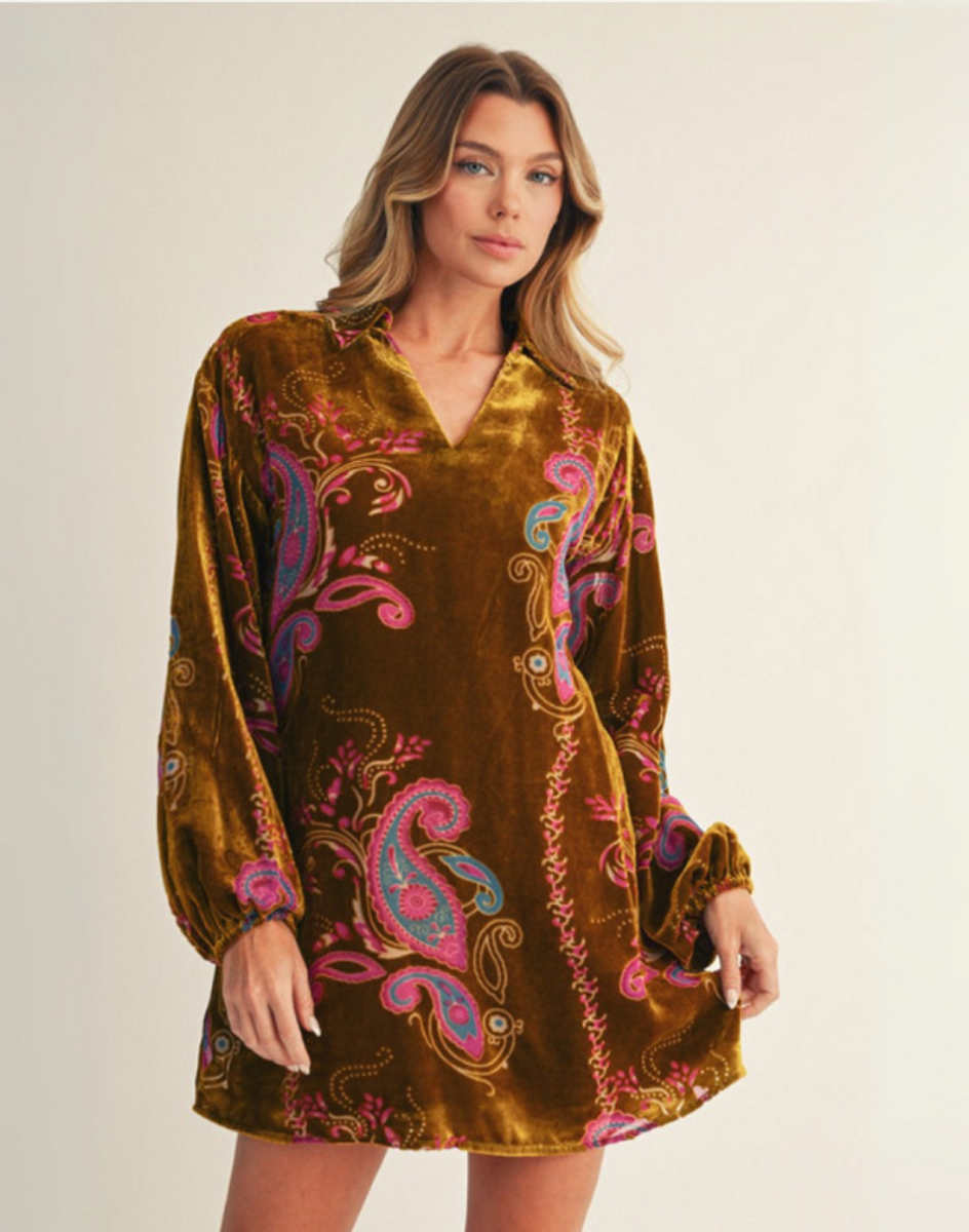 Paisley Print Velvet Dress Paisley Print Velvet Dress