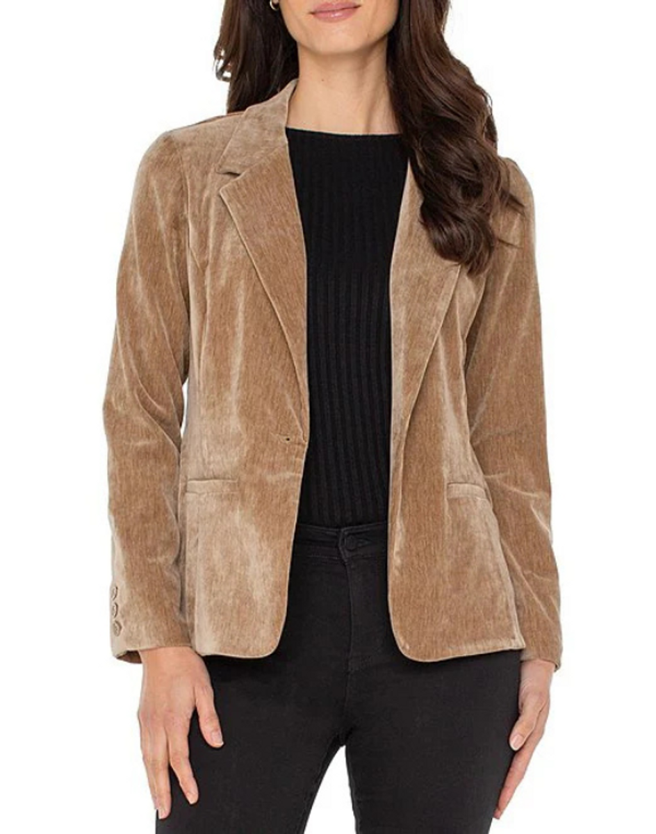 Sandstone Velvet Blazer Sandstone Velvet Blazer