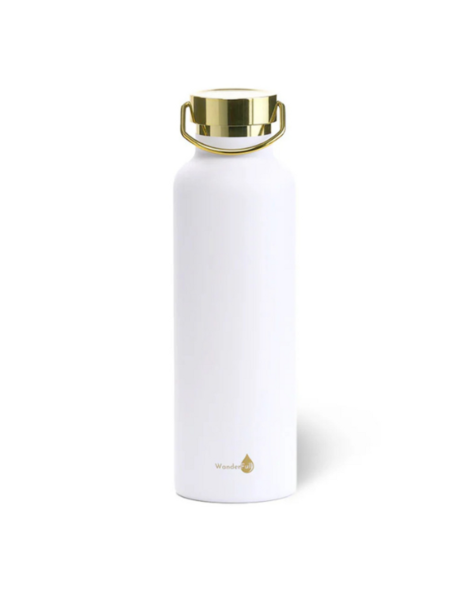 24 oz Gold Top Insulated Water Bottle - Assorted Colors 24 oz Gold Top Insulated Water Bottle - Assorted Colors