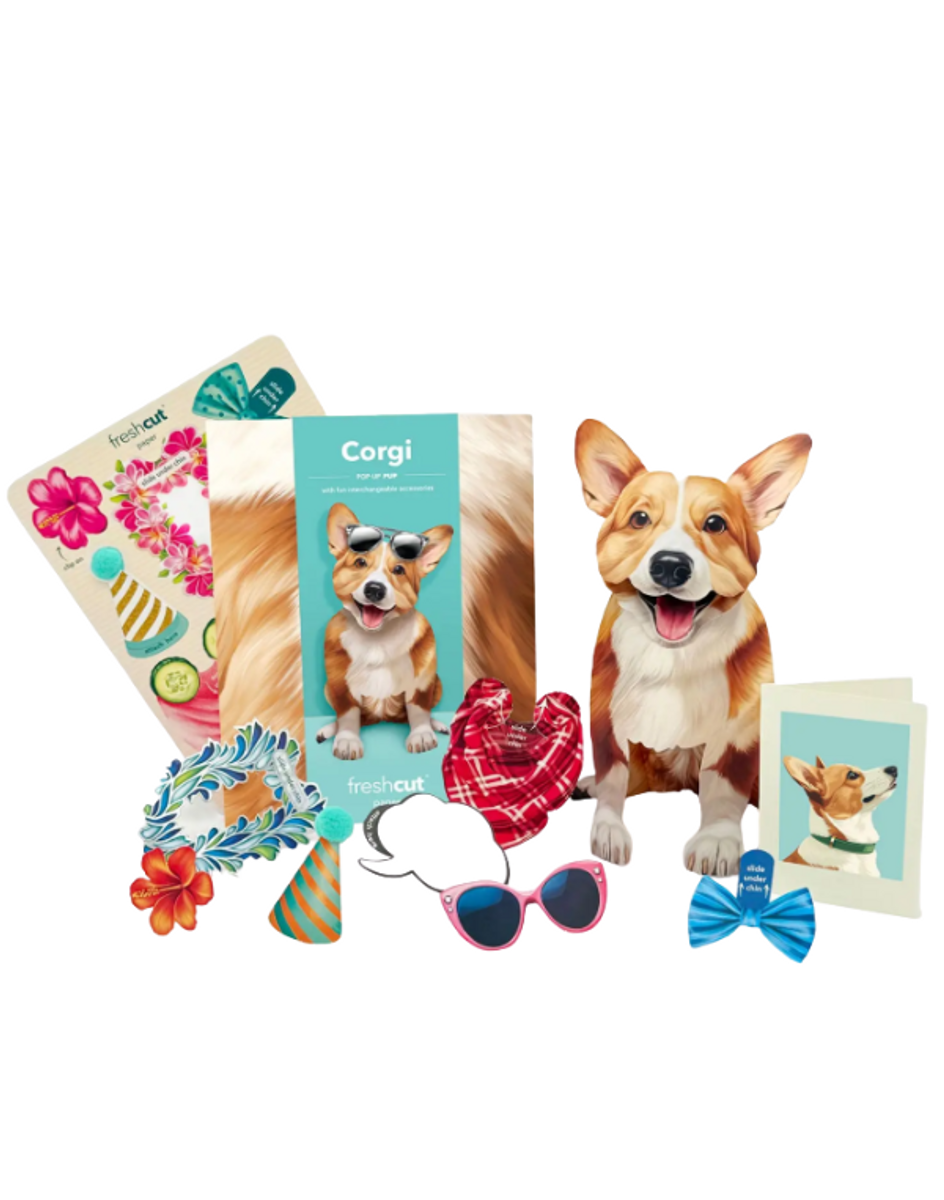 Corgi Pop Up Pet Corgi Pop Up Pet