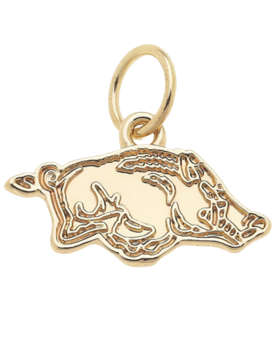 Arkansas Razorbacks Logo Charm