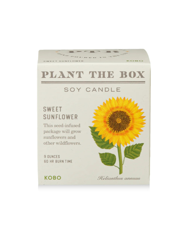 Plant the Box Sweet Sunflower Candle