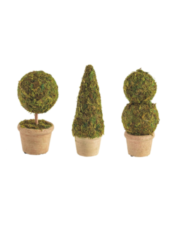 Moss Covered Topiary