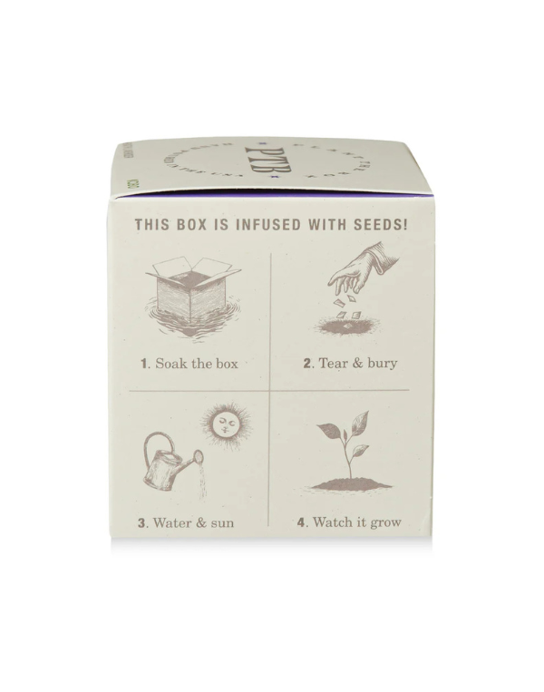 Plant the Box Heath Candle - Thumbnail 3