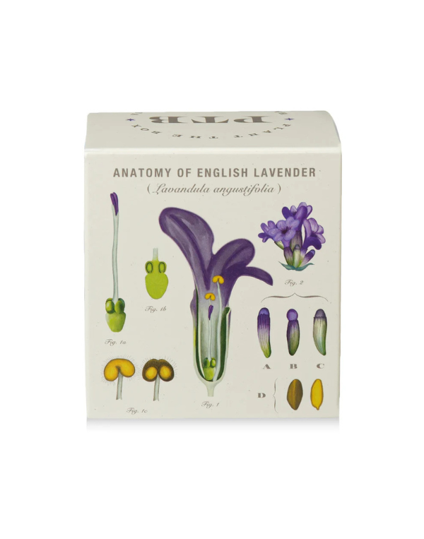 Plant the Box Heath Candle - Thumbnail 4