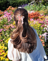 Claw Clip - Assorted