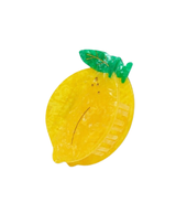 Claw Clip - Assorted