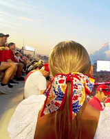 Saturday Silks Houston Cougars Twilly Scarf