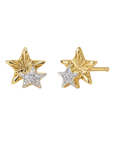 Double Star Post Earring