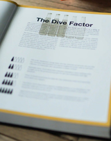 Texas Dive Bar Book