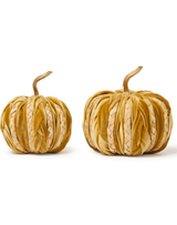 Mustard Braided Pumpkin