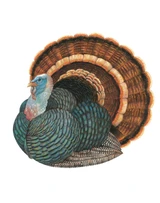 Die Cut Turkey Placemat