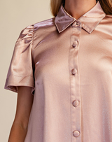 Shimmer Button Down Holiday Dress