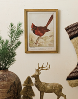Vintage Cardinal Frame