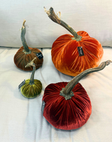 Hot Sqwash 6" Velvet Pumpkin