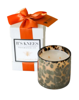 2-Wick Tortoise Glass Candle